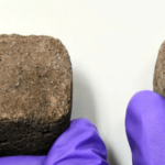 मंगल ग्रहमा भवन निर्माणका लागि भारतले बनायो ईंटा