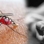 डेंगुबाट एकैदिन चार जनाको मृत्यु