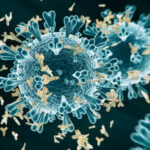 नेपालमा भेटियो कोरोनाको नयाँ सबभेरियन्ट ‘एक्सबीबी’