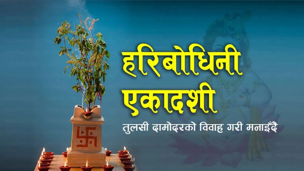 आज हरिबोधिनी एकादशी, तुलसीको विवाह गरि मनाइँदै