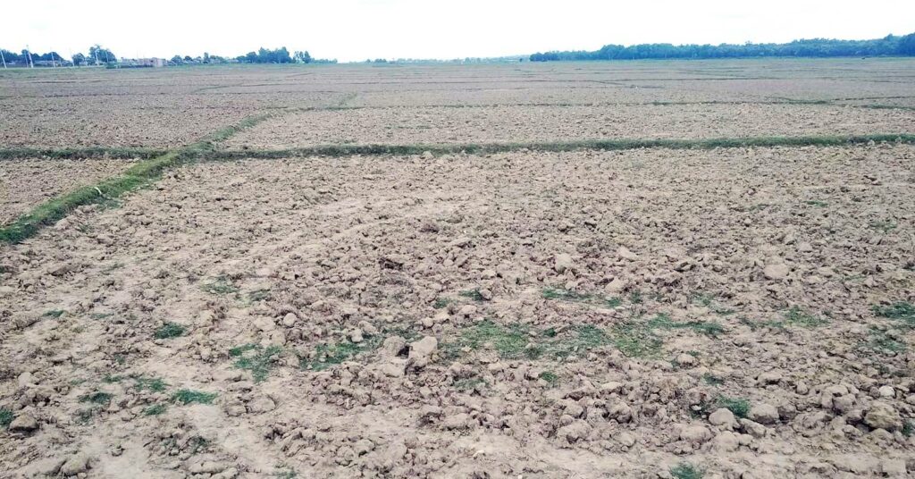 खेतीयोग्य जमिन पहाडमा बाँझो, तराईमा मासिँदै