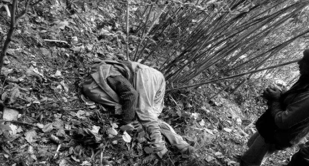 बैतडीमा रुखबाट लडेर एक वृद्धको मृत्यु