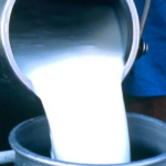 दूधकाे मूल्य प्रतिलिटर ९ रुपैयाँले बढ्याे