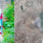 सिस्नु टिप्न गएका दिदीबहिनी मृत फेला