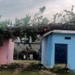 कञ्चनपुरमा हावाहुरीले घरमाथि रुख ढल्दा २ जना घाइते